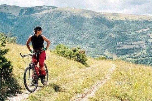 Paseo en Bicicleta